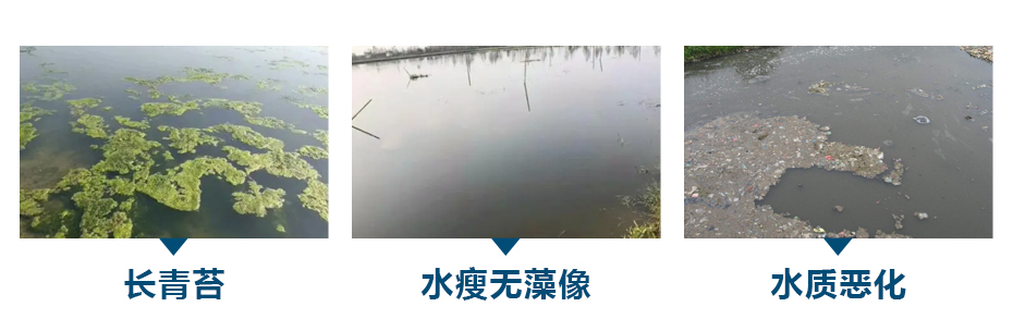水產(chǎn)養(yǎng)殖中常見的水質(zhì)問題