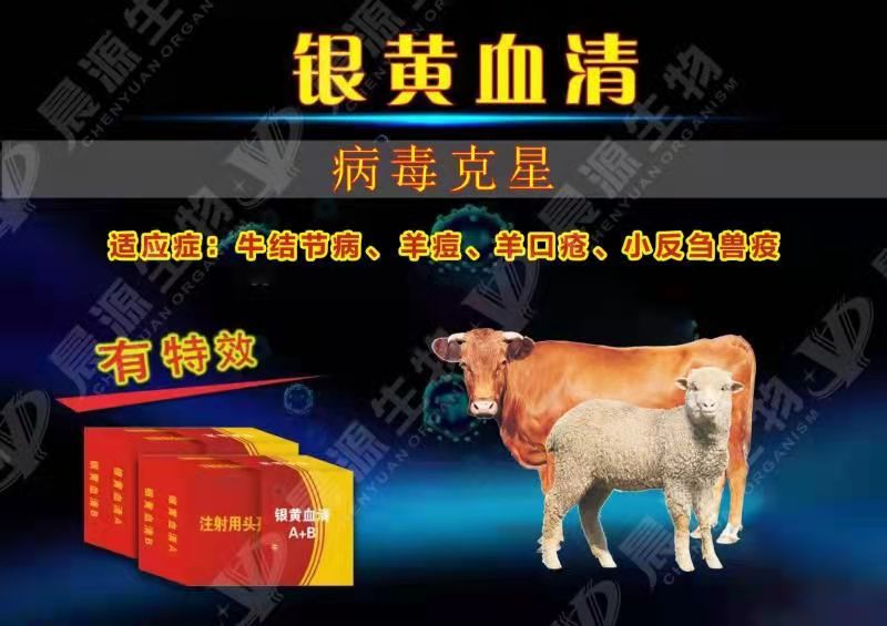 銀黃血清-牛結節病治療 銀黃血清-牛結節病治療