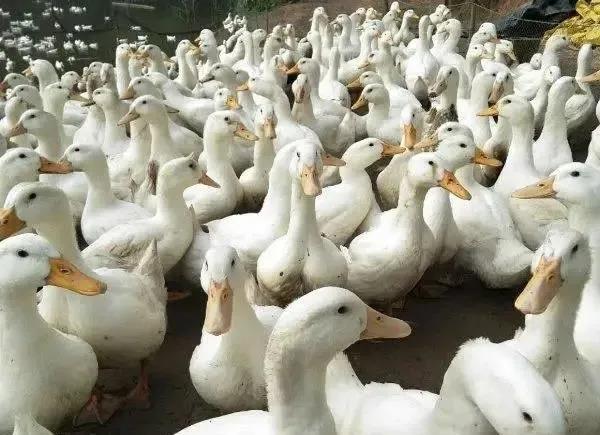 微信圖片_20210507151124 微信圖片_20210507151124